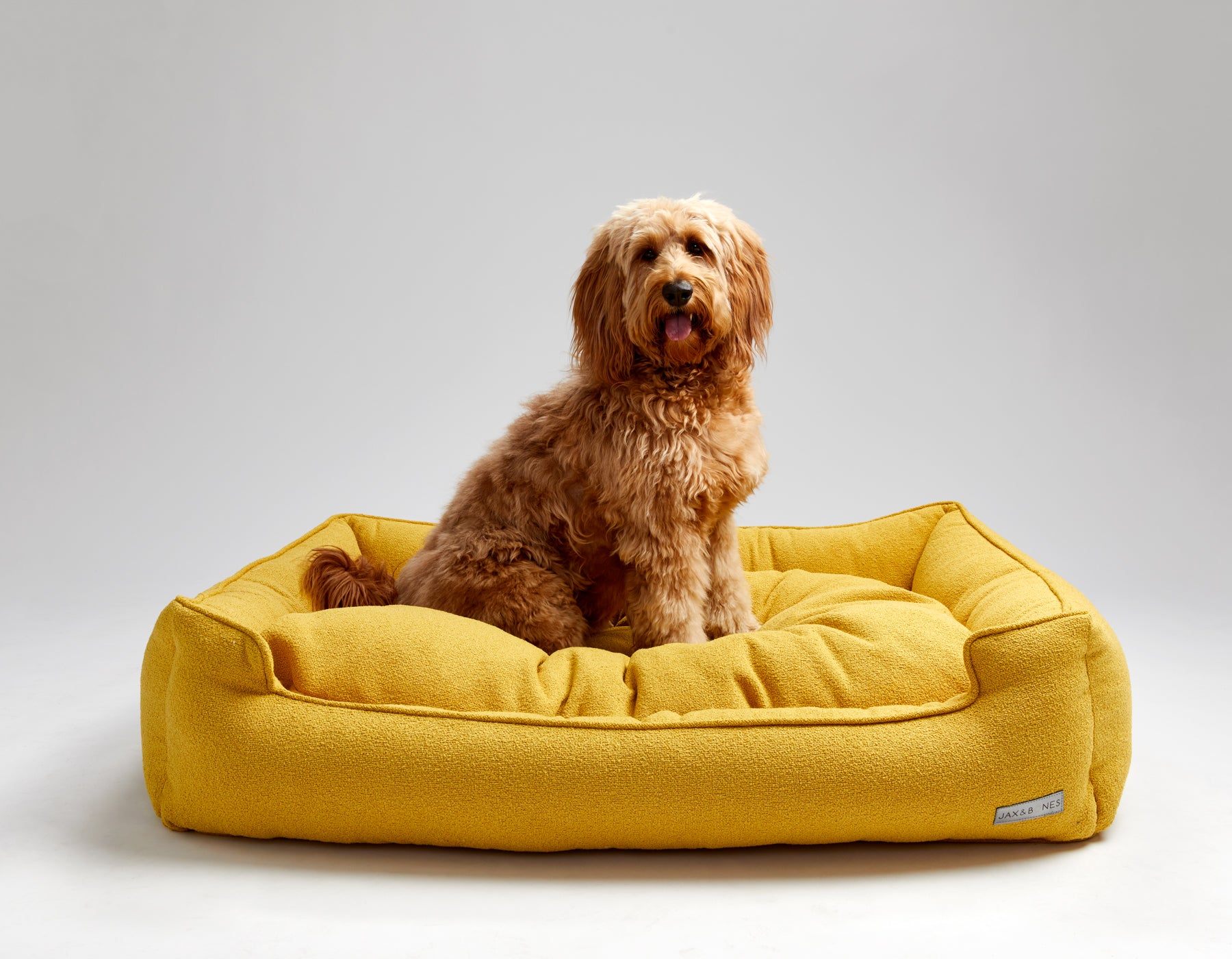 Jax dog bed hotsell