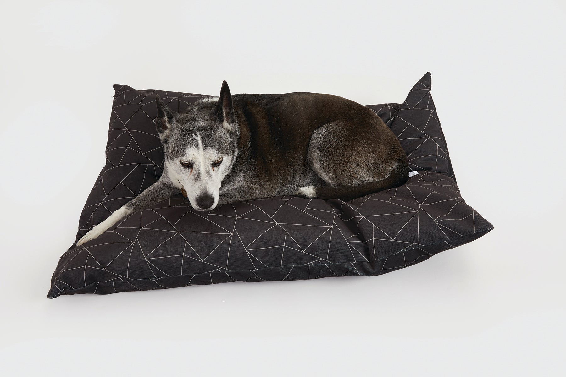 Jack and bones outlet dog beds