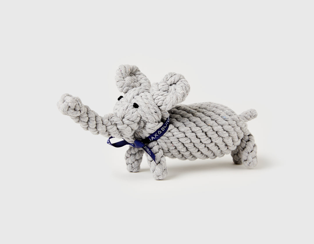 Elephant rope dog toy hotsell