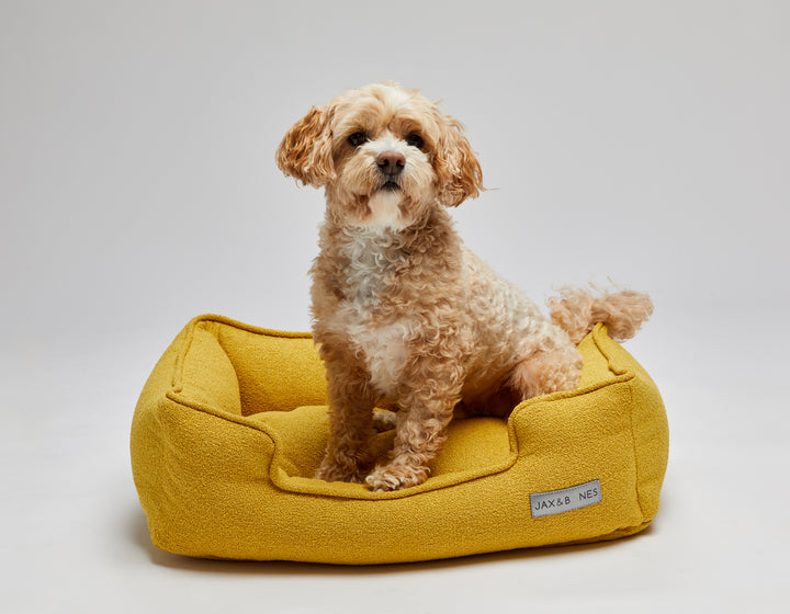 Jax Bones Cordova Limon Lounge Bed
