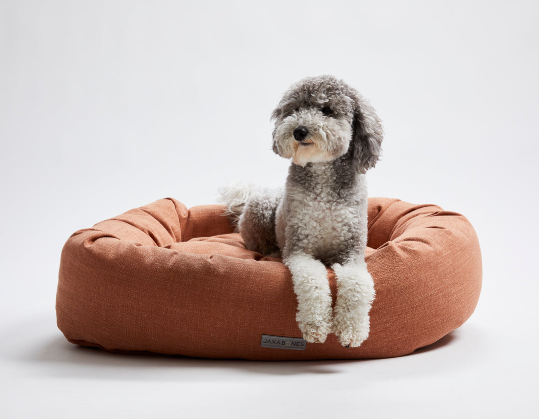 Rosegarden YOSDサイズ 猫耳ボンネット Warby Terracotta Donut Bed – Jax & Bones