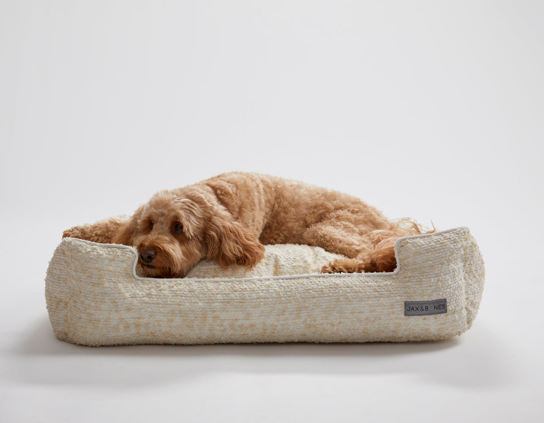 Lounge Dog Bed | Jax & Bones | Best Selling Bolster Bed