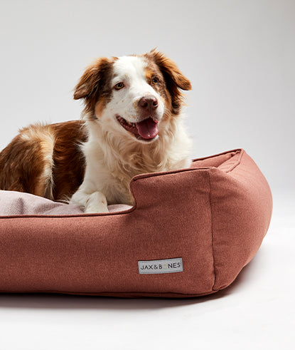 Jax & bones dog beds best sale