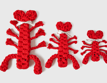 Louie the Lobster Rope Dog Toy