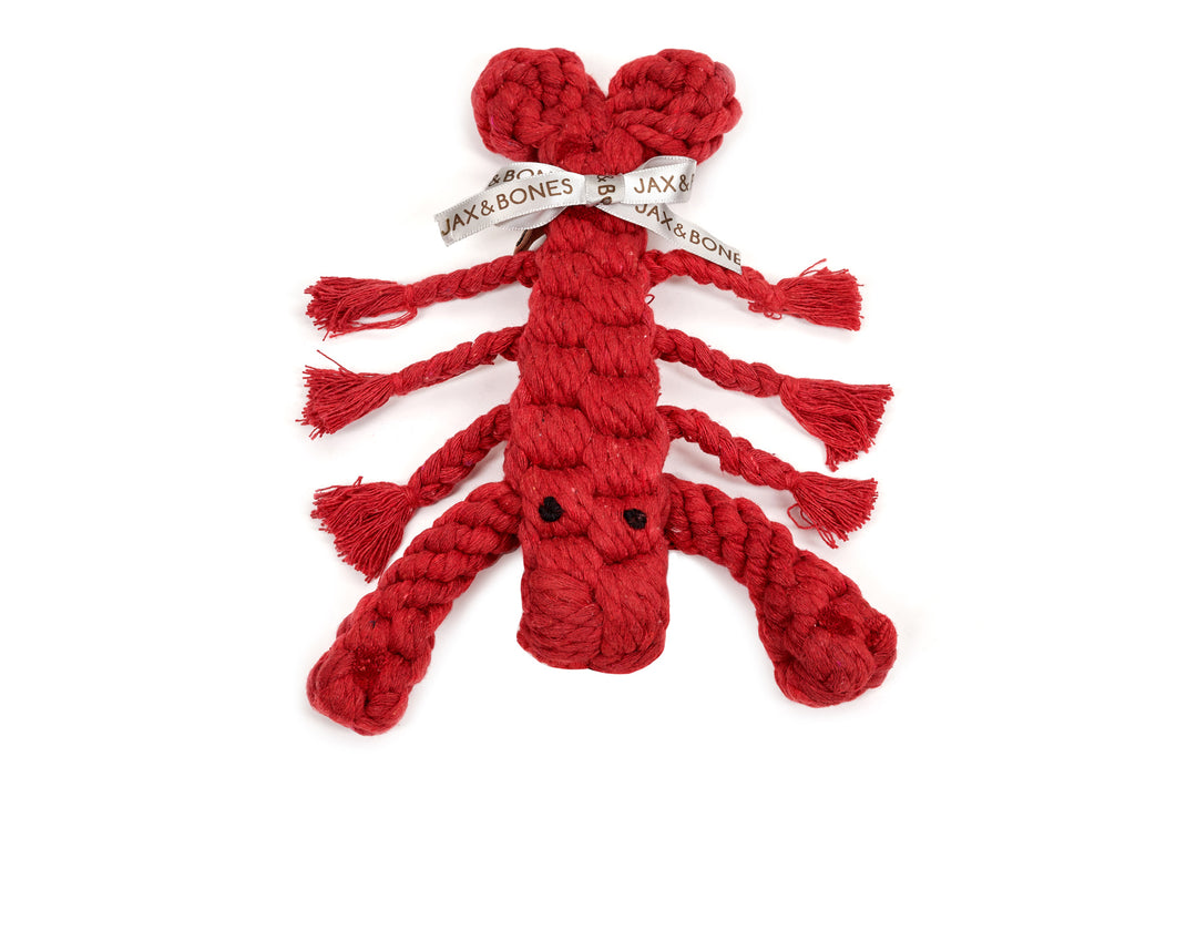 Jax Bones Louie the Lobster Rope Dog Toy